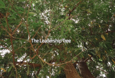 The Leadership Tree