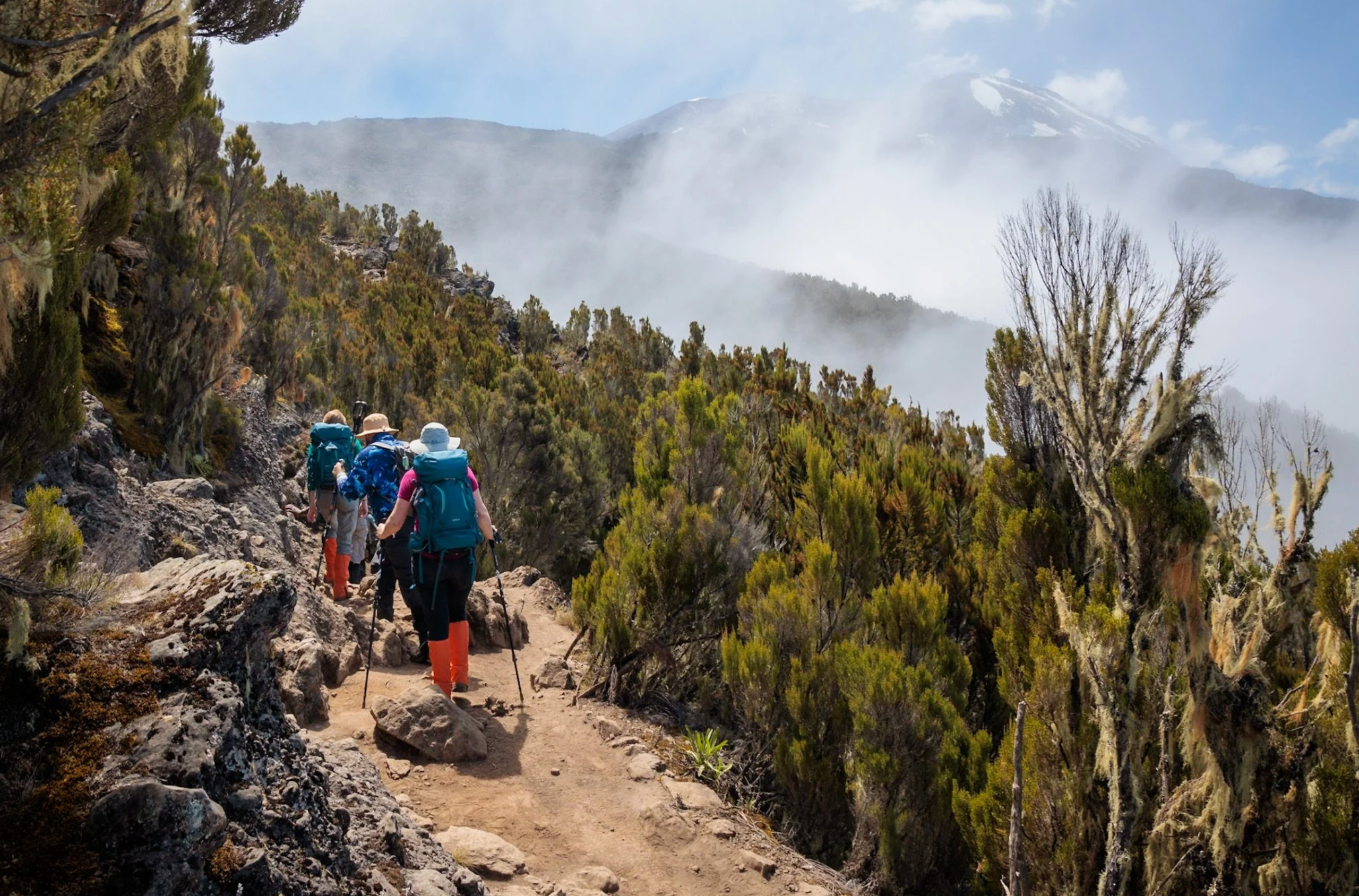 Kilimanjaro