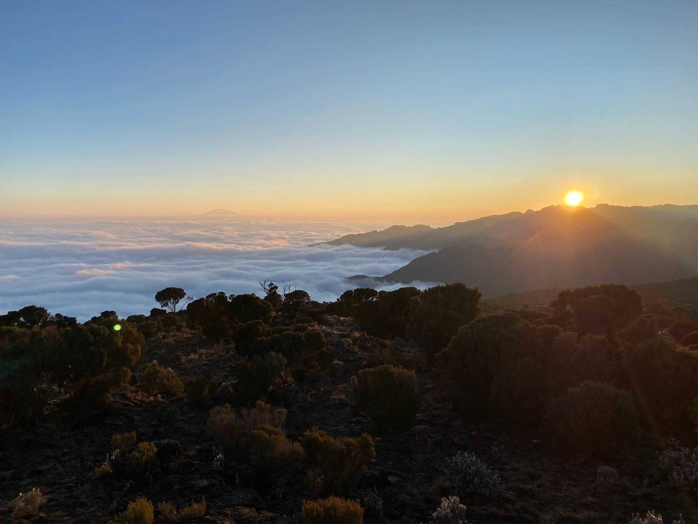 Kilimanjaro